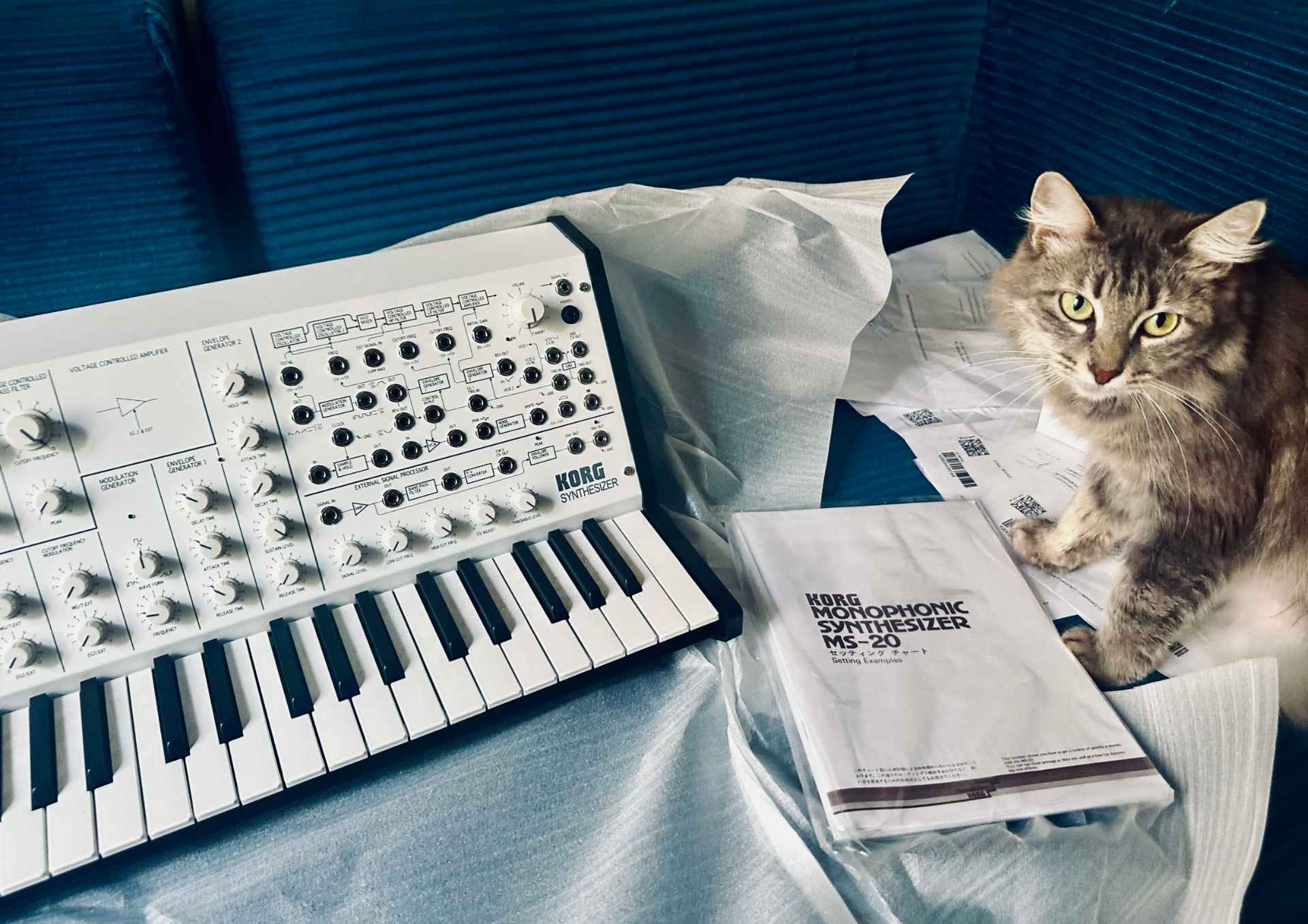 A Korg MS-20 synthesizer on a sofa, with a curious cat sitting next to it